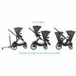 Phil & Teds Voyager Stroller